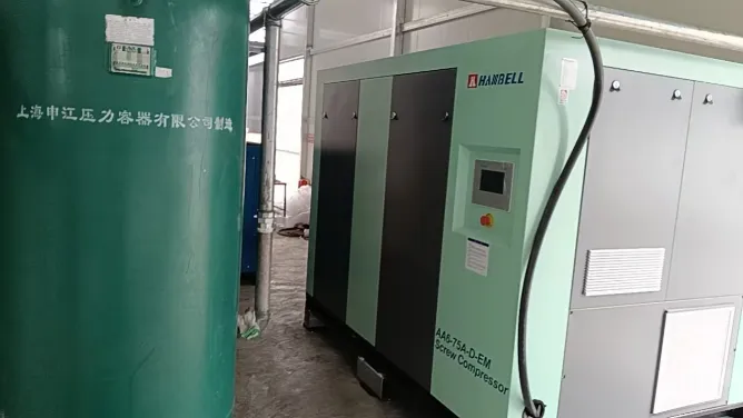 Profissionalismo ganha confiança: Engenheiros da Yuzhen concluem com sucesso a instalação e o comissionamento do sistema de compressor de ar Hanbell em uma fábrica de contêineres de embalagens nos Emirados Árabes Unidos